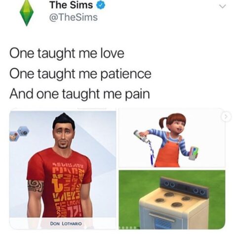 45 Sims Memes That Are Just TOO REAL - Ultimate Sims Guides