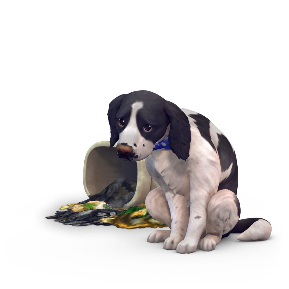 The Sims 4 Pet Training Skill Guide (Cats & Dogs) Ultimate Sims Guides