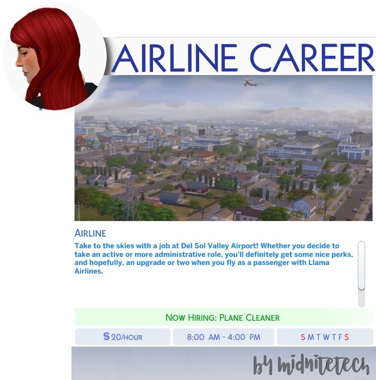 airline career 