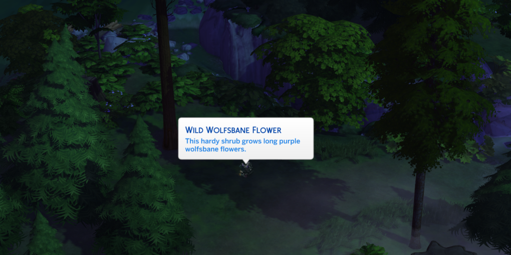 where to find a wild wolfsbane flower