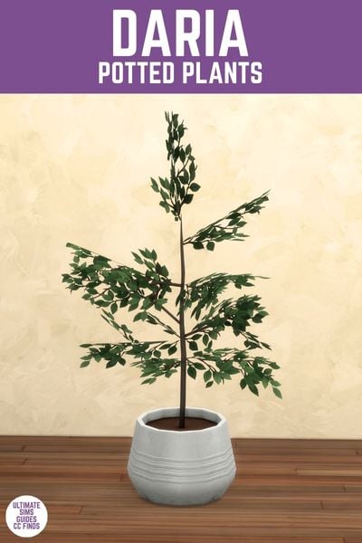 This image has a purple bar at the top with white text that reads "Daria Potted Plant" and below is a white pot with a tall green potted plant inside 