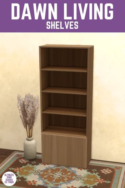 This image has a purple bar at the top with white text that reads "Dawn Living Shelves" and below is a bookshelf on a rug with some pampas grass next to it 