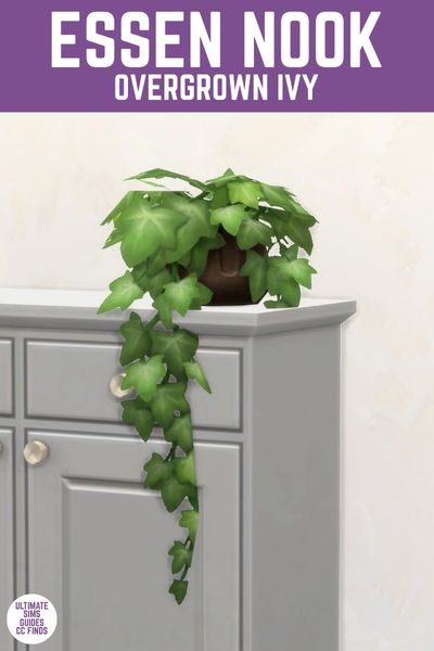 This image has a purple bar at the top with white text that says "Essen Nook Overgrown Ivy" and below is a close up of an ivy plant hanging down from a white dresser. 