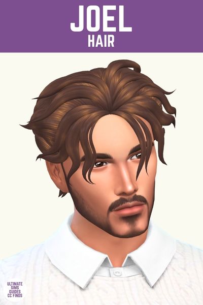 This image has a purple bar at the top with white text. The text says "Joel Hair" and below is a close up of a male sim wearing a white sweater with brown hair 