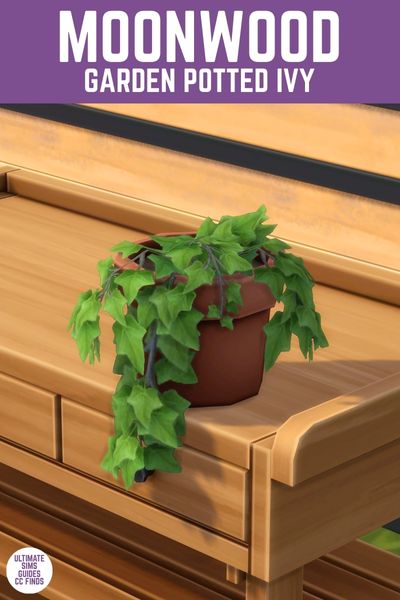 This image has a purple bar at the top with white text that says "Moonwood Garden Potted Ivy" and below is a close up of a table wth a planter pot with ivy cascading down. 