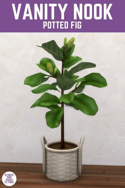This image has a purple bar at the top with white text that says "Vanity Nook Potted Fig" and below is an image of a fig plant inside of a white rattan basket with handles on each side. 